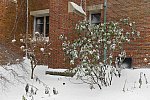 31 Fort Hill-12-17-2020-Snowstorm--0018-DDeRosaPhoto