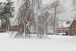 31 Fort Hill-12-17-2020-Snowstorm--0099-DDeRosaPhoto
