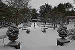 31 Fort Hill-12-17-2020-Snowstorm--0161-DDeRosaPhoto