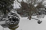31 Fort Hill-12-17-2020-Snowstorm--0167-DDeRosaPhoto