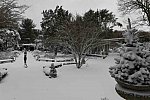 31 Fort Hill-12-17-2020-Snowstorm--0169-DDeRosaPhoto