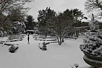 31 Fort Hill-12-17-2020-Snowstorm--0171-DDeRosaPhoto