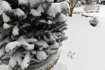 31 Fort Hill-12-17-2020-Snowstorm--0172-DDeRosaPhoto