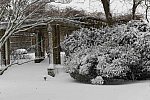 31 Fort Hill-12-17-2020-Snowstorm--0174-DDeRosaPhoto