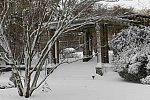 31 Fort Hill-12-17-2020-Snowstorm--0175-DDeRosaPhoto