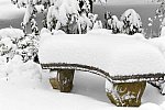 31 Fort Hill-12-17-2020-Snowstorm--0179-DDeRosaPhoto