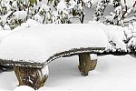 31 Fort Hill-12-17-2020-Snowstorm--0180-DDeRosaPhoto