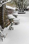 31 Fort Hill-12-17-2020-Snowstorm--0185-DDeRosaPhoto