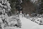 31 Fort Hill-12-17-2020-Snowstorm--0188-DDeRosaPhoto