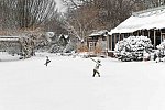 31 Fort Hill-12-17-2020-Snowstorm--0199-DDeRosaPhoto