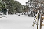 31 Fort Hill-12-17-2020-Snowstorm--0209-DDeRosaPhoto