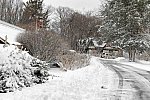 31 Fort Hill-12-17-2020-Snowstorm--0210-DDeRosaPhoto