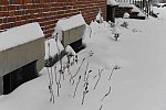 31 Fort Hill-12-17-2020-Snowstorm--0245-DDeRosaPhoto