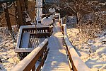 31 Fort Hill-12-17-2020-Snowstorm--0320-DDeRosaPhoto