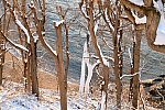 31 Fort Hill-12-17-2020-Snowstorm--0328-DDeRosaPhoto