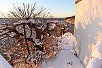 31 Fort Hill-12-17-2020-Snowstorm--0335-DDeRosaPhoto