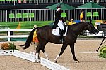 Olympics-RIO-DRE-8-11-16-6705-CharlotteDujardin-Valegro-GBR-DDeRosaPhoto