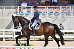 Olympics-RIO-DRE-8-11-16-5539-SteffenPeters-Legolas92-USA-DDeRosaPhoto