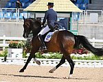 Olympics-RIO-DRE-8-11-16-5625-SteffenPeters-Legolas92-USA-DDeRosaPhoto