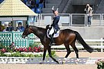 Olympics-RIO-DRE-8-11-16-5732-SteffenPeters-Legolas92-USA-DDeRosaPhoto