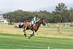 Olympics-RIO-EV-XC-8-8-16-0485-SamGriffiths-PaulankBrookagh-AUS-DDeRosaPhotoS