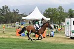 Olympics-RIO-EV-XC-8-8-16-0488-SamGriffiths-PaulankBrookagh-AUS-DDeRosaPhotoS
