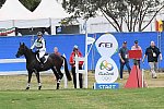 Olympics-RIO-EV-XC-8-8-16-0282-JessicaPhoenix-ALittleRomance-CAN-DDeRosaPhoto