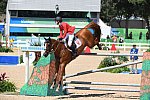 Olympics-RIO-SJ-2ndQual-Rnd1TM-8-16-16-3462-LucyDavis-Barron-USA-DDeRosaPhoto