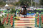 Olympics-RIO-SJ-2ndQual-Rnd1TM-8-16-16-2571-NickSkelton-BigStar-GBR-DDeRosaPhoto