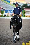 PanAmGames-MX-10-15-11-5243-SteffenPeters-WeltonsMagic-DDeRosaPhoto.JPG