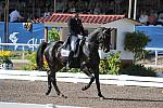 PanAmGames-MX-10-16-11-5862-SteffenPeters-WeltonsMagic-DDeRosaPhoto.JPG
