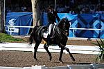 PanAmGames-MX-10-16-11-5871-SteffenPeters-WeltonsMagic-DDeRosaPhoto.JPG