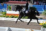 PanAmGames-MX-10-16-11-5892-SteffenPeters-WeltonsMagic-DDeRosaPhoto.JPG