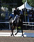 PanAmGames-MX-10-16-11-5907-SteffenPeters-WeltonsMagic-DDeRosaPhoto.JPG