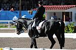 PanAmGames-MX-10-16-11-5954-SteffenPeters-WeltonsMagic-DDeRosaPhoto.JPG