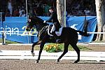 PanAmGames-MX-10-16-11-6006-SteffenPeters-WeltonsMagic-DDeRosaPhoto.JPG