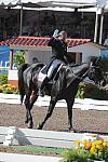 PanAmGames-MX-10-16-11-6055-SteffenPeters-WeltonsMagic-DDeRosaPhoto.JPG