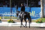 PanAmGames-MX-10-16-11-6058-SteffenPeters-WeltonsMagic-DDeRosaPhoto.JPG
