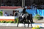 PanAmGames-MX-10-16-11-6061-SteffenPeters-WeltonsMagic-DDeRosaPhoto.JPG