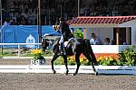 PanAmGames-MX-10-16-11-6062-SteffenPeters-WeltonsMagic-DDeRosaPhoto.JPG