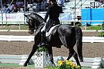PanAmGames-MX-10-17-11-8741-SteffenPeters-WeltinosMagic-USA-DDeRosaPhoto.JPG