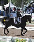 PanAmGames-MX-10-17-11-8789-SteffenPeters-WeltinosMagic-USA-DDeRosaPhoto.JPG