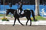 PanAmGames-MX-10-17-11-8834-SteffenPeters-WeltinosMagic-USA-DDeRosaPhoto.JPG