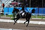 PanAmGames-MX-10-17-11-8854-SteffenPeters-WeltinosMagic-USA-DDeRosaPhoto.JPG