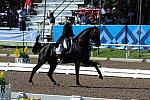 PanAmGames-MX-10-17-11-8891-SteffenPeters-WeltinosMagic-USA-DDeRosaPhoto.JPG