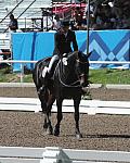 PanAmGames-MX-10-17-11-8922-SteffenPeters-WeltinosMagic-USA-DDeRosaPhoto.JPG