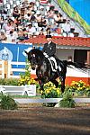 PanAmGames-MX-10-19-11-7563-DRE-IND-SteffenPeters-WeltinosMagic-USA-DDeRosaPhoto.JPG