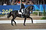 PanAmGames-MX-10-19-11-7712-DRE-IND-SteffenPeters-WeltinosMagic-USA-DDeRosaPhoto.JPG
