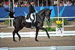PanAmGames-MX-10-19-11-7713-DRE-IND-SteffenPeters-WeltinosMagic-USA-DDeRosaPhoto.JPG