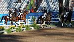 PanAmGames-MX-10-16-11-6818-DDeRosaPhoto.JPG